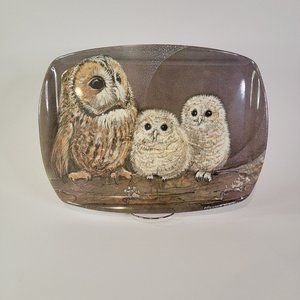 Vintage Pollyanna Pickering Acrylic Owl Mini Tray 11.5 x 15.5 Made in Italy